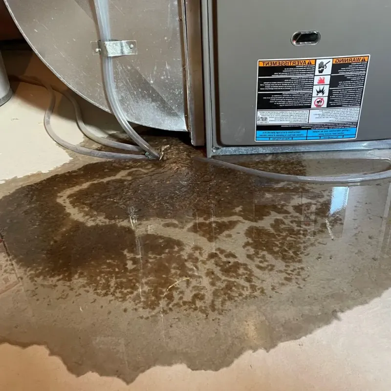 Pipe Burst and Leak Restoration in Intercourse, PA